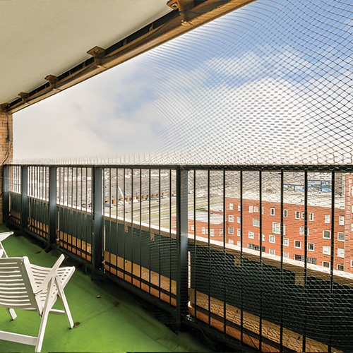 Pigeon Nets – Bengaluru